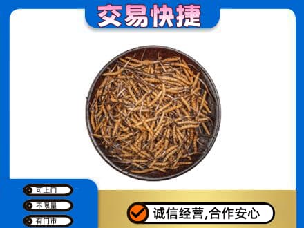 嘉峪关回收散虫草